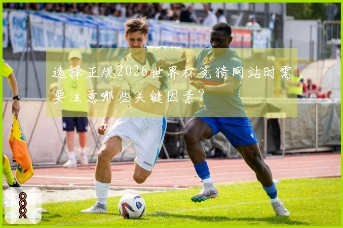选择正规2026世界杯竞猜网站时需要注意哪些关键因素？